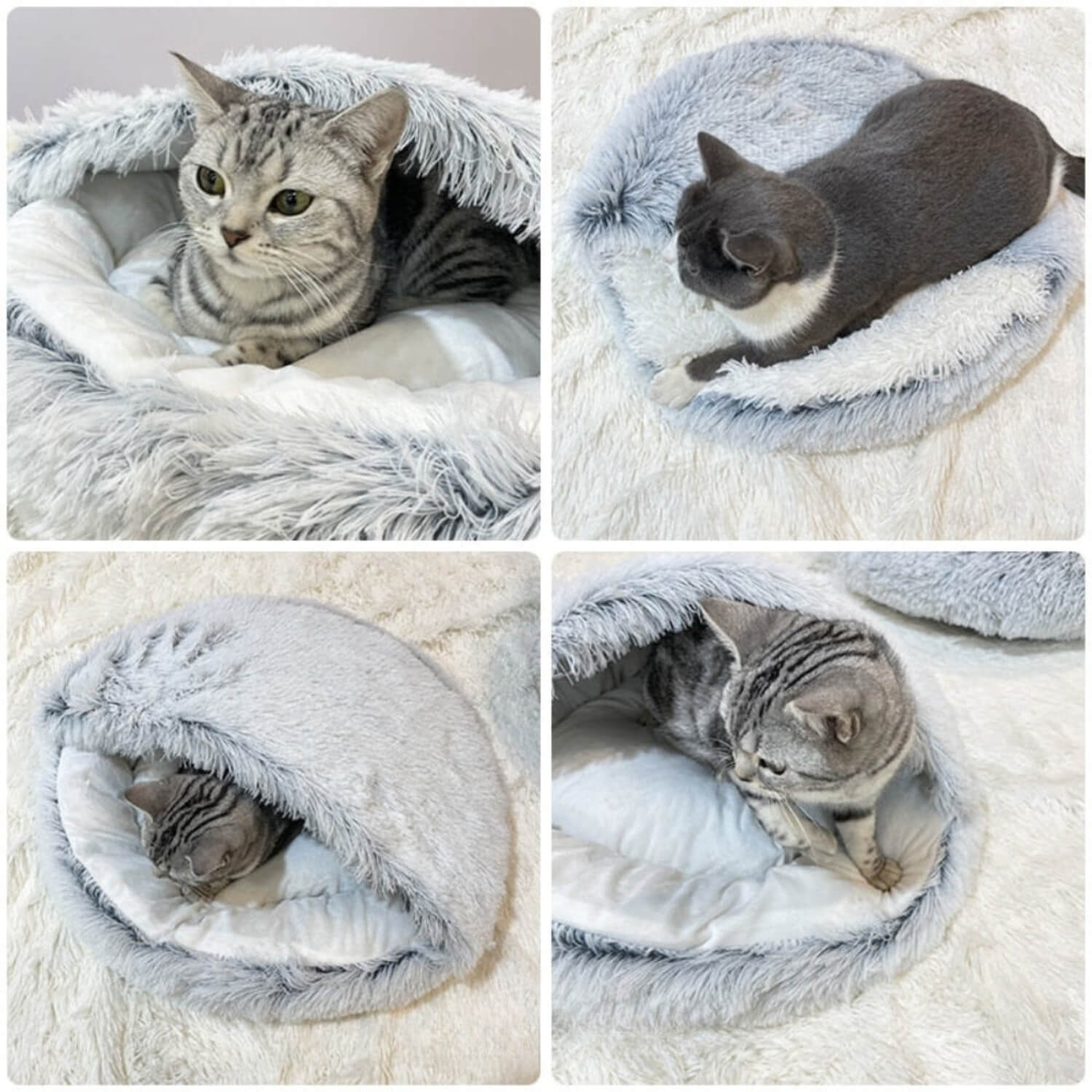 Gezellig Huisdierbed Honden Katten Sfeervol